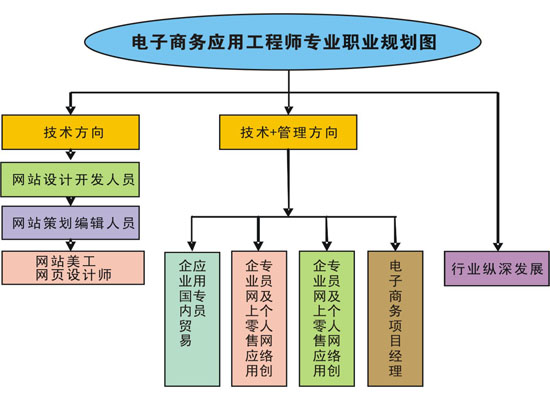 电子商务应用工程师专业职业规划