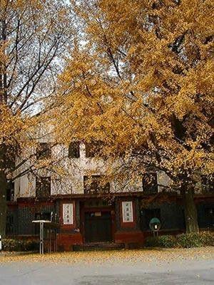 四川大学