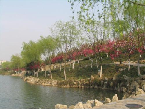 南京师范大学
