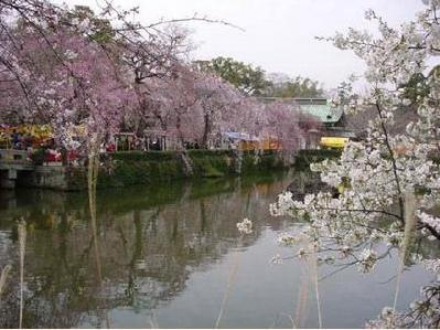 风景最美大学