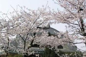 武汉大学