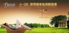 房地产广告