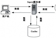 SQUID͸ʵInternet