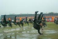 ഺԶ塪ϵ --ڰ»ľ̻